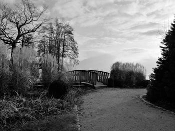 Bridge over trees against sky