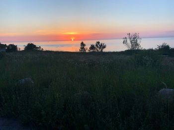 Scenic view of field against sky during sunset