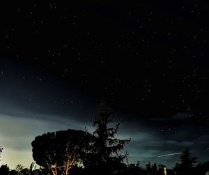 Low angle view of silhouette trees against sky at night