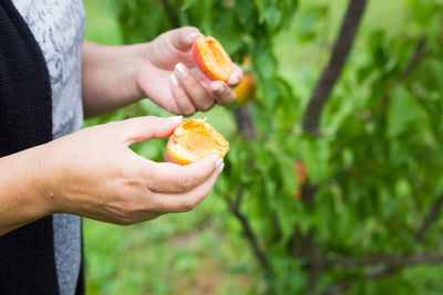 Close-up of hand holding orange