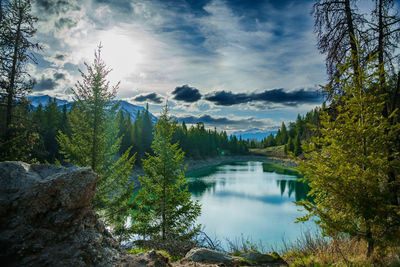 nature