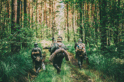 Rear view of people walking amidst trees in forest