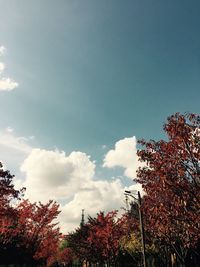 Low angle view of trees against sky