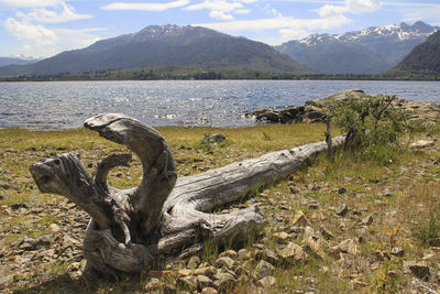 Scenic view of lake by field against sky