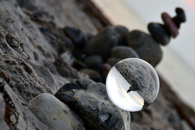 Close-up of crab on rock