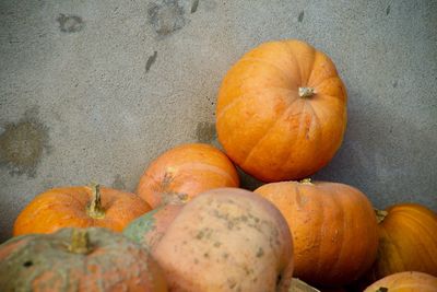 High angle view of pumpkins