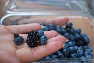 Close-up of hand holding berries