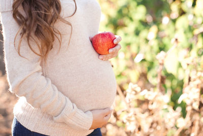 Pregnant woman holding red apple on belly wear beige knitted sweater closeupover nature background