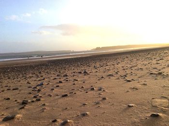 Scenic view of beach against clear sky