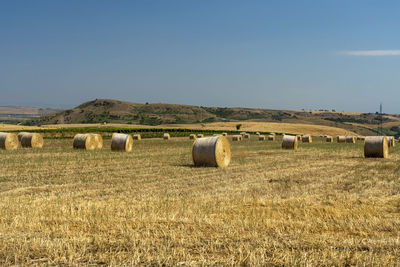 Hay bales on field against sky