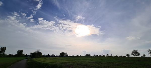 Scenic view of field against sky