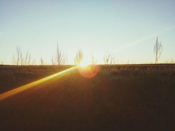 Scenic view of field against clear sky during sunset