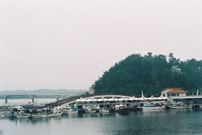 Scenic view of river against clear sky