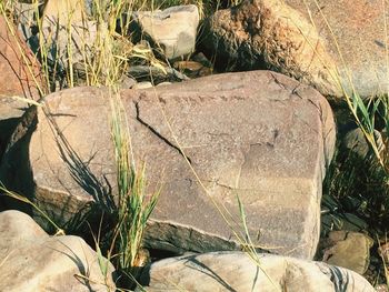 High angle view of rock on land