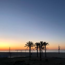 Palm trees on beach against clear sky at sunset