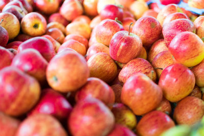 Full frame shot of fruits