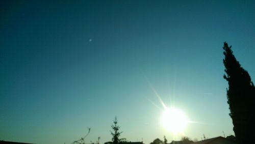 Low angle view of trees against blue sky