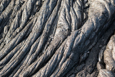 Full frame shot of textured surface