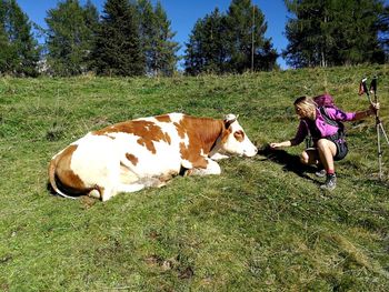 Woman crouching by cow on grassy field