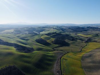 Scenic view of agricultural field against clear sky