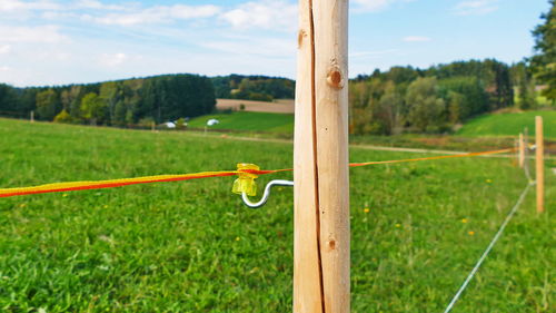 Close-up of wooden post on field