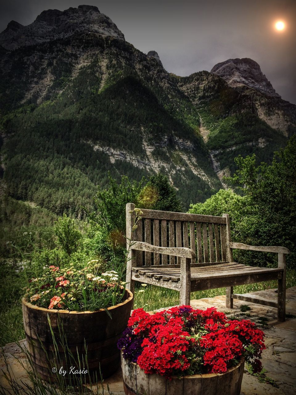 flower, mountain, plant, growth, freshness, beauty in nature, nature, fragility, mountain range, red, tranquil scene, tranquility, potted plant, scenics, tree, outdoors, day, blooming, in bloom, built structure