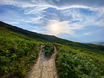 Scenic view of the sun and landscape