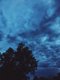 Low angle view of trees against cloudy sky