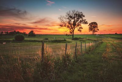 Scenic view of field against sky during sunset