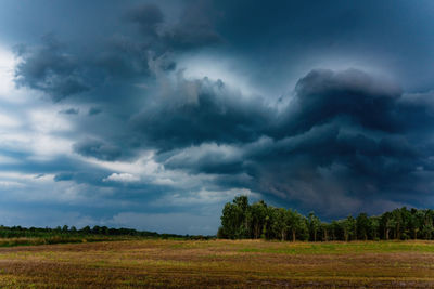 Scenic view of field against sky