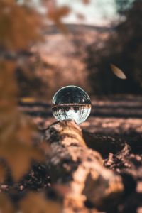 Close-up of crystal ball on rock