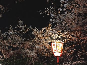 Low angle view of illuminated lantern at night