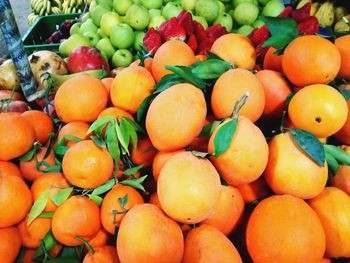 Close-up of fruits for sale at market stall