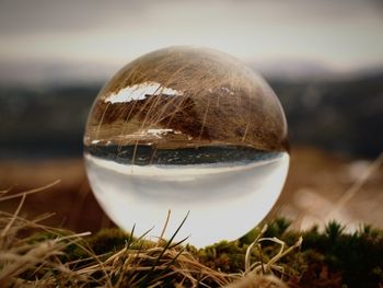 Close-up of crystal ball on grass