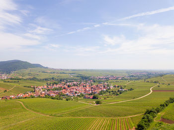 Scenic view of agricultural field against sky