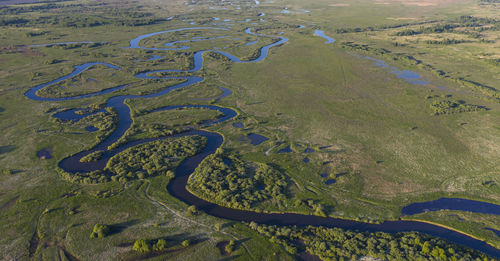 High angle view of swamp on land