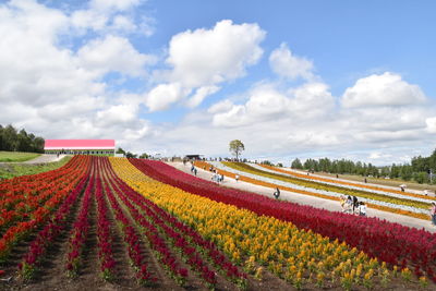 Scenic view of field against cloudy sky