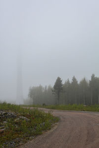 Road amidst trees against sky during foggy weather