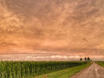 Scenic view of agricultural field against sky during sunset