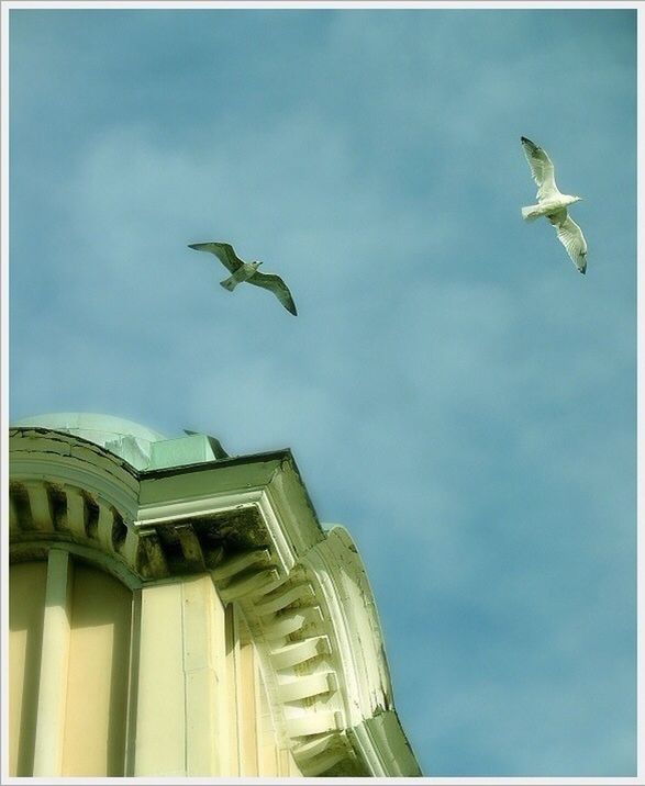 low angle view, architecture, built structure, sky, building exterior, bird, transfer print, flying, auto post production filter, cloud - sky, animal themes, statue, one animal, sculpture, cloud, wildlife, outdoors, blue, animals in the wild, day