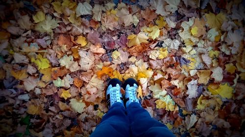 Low section of person standing on autumn leaves