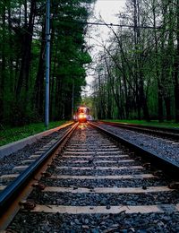 Railroad tracks in forest