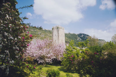 Low angle view of trees against cloudy sky