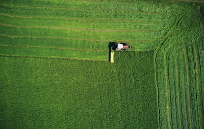 Tractor plowing and cutting green field in rows