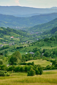 Scenic view of agricultural landscape