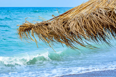 Close-up of wave on beach against sky