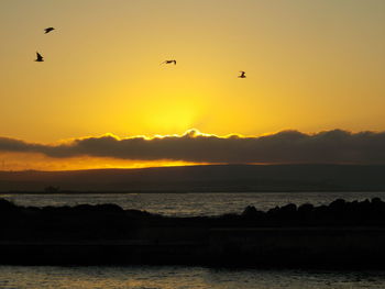 Scenic view of sunset over sea