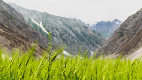 Scenic view of landscape and mountains against sky