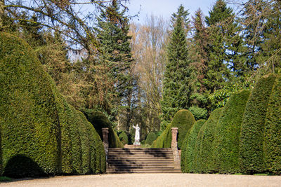 Footpath amidst trees in park