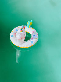 High angle view of water toy on blue swimming pool 